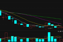 华锐风电权威解析 国营贸易管理下的进出口战略