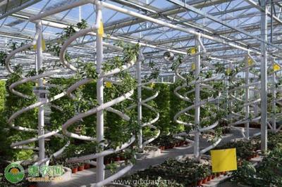 农业科技公司注册经营范围及国营贸易管理货物进出口解析