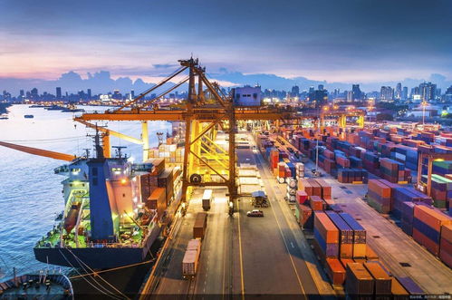 东南亚电商掘金指南 Lazada与Shopee选品策略与国营贸易货物进出口管理